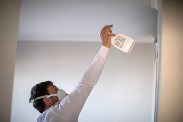 Best Toxic Mold Removal  in Glen Dale, WV